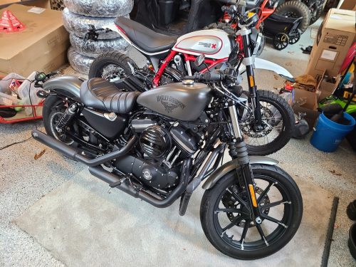 Ducati Scrambler Desert Sled Edition and Harley Davidson Sportster XL883N